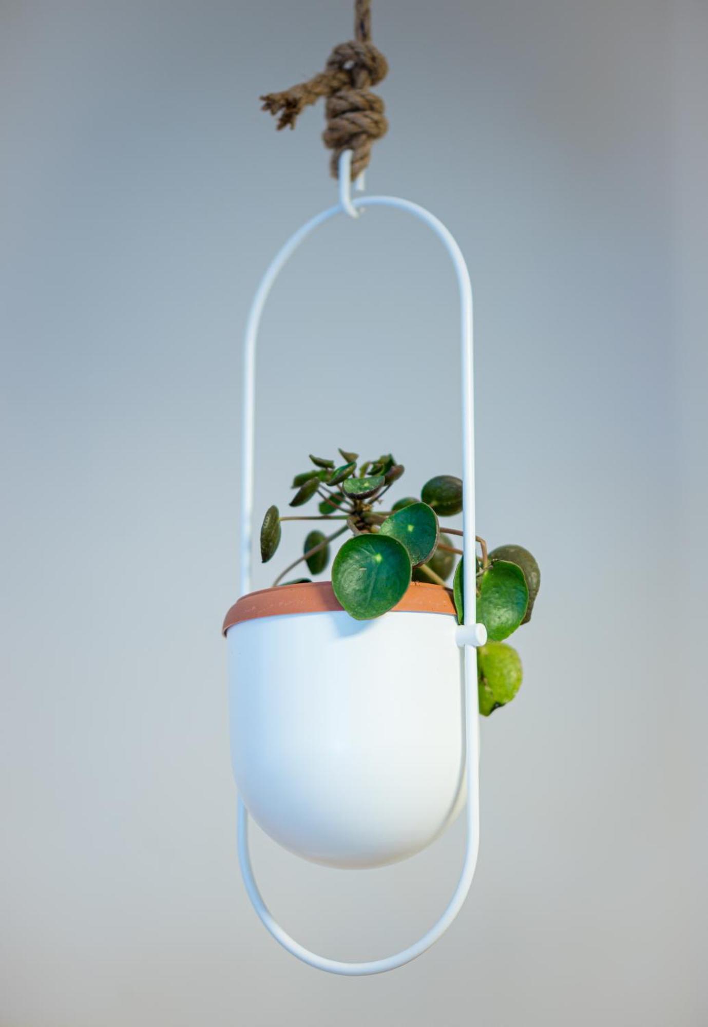 Coconut Blue Itea Exterior foto